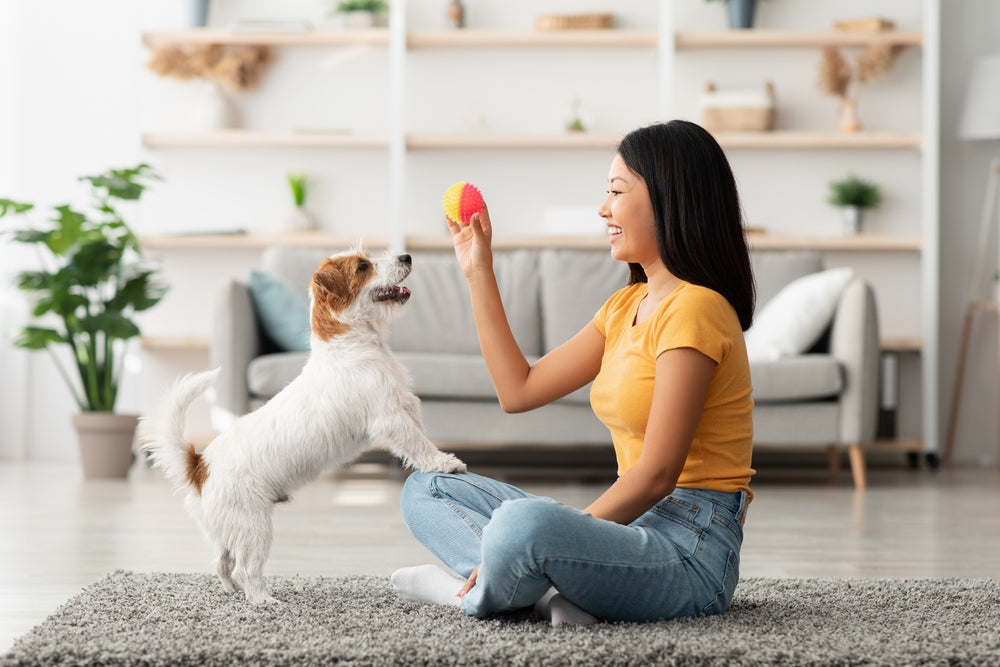 Sourcing Superior B Vitamin Raw Materials for Pet Supplements