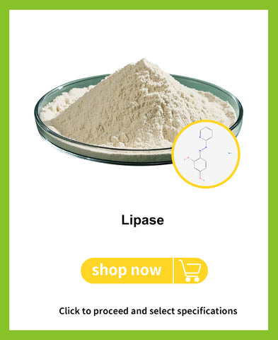 Lipase