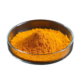 Coenzyme Q10 (Ubidecarenone)