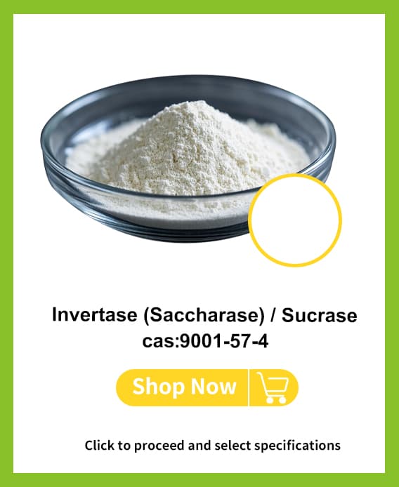 Invertase (Saccharase)