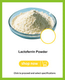 Lactoferrin Powder