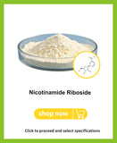 Nicotinamide Riboside