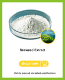 Seaweed Extract