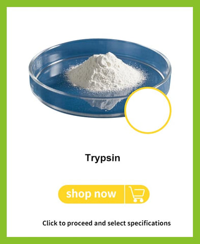 Trypsin